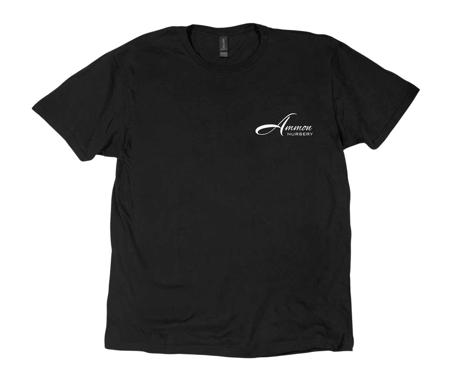 Ammon Nursery Toddler Tee